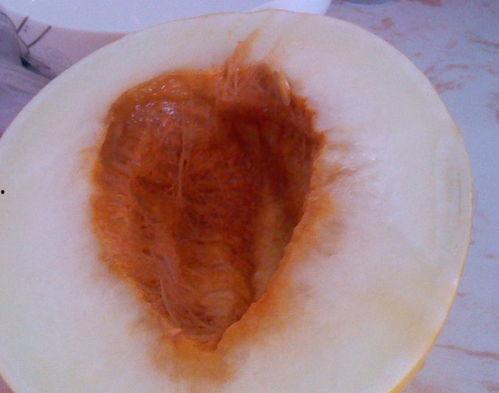 吃伊丽莎白瓜寒性,揭秘伊丽莎白瓜的寒性养生之道