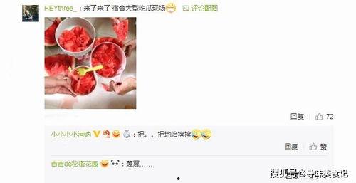 吃瓜名字网名,揭秘吃瓜名字背后的趣味与智慧