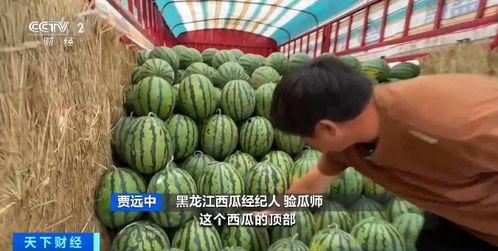 吃瓜保暖衣,吃瓜保暖衣,温暖你的每一个瞬间